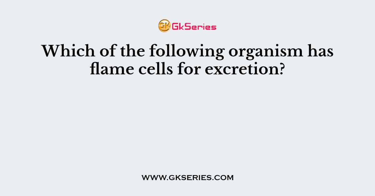 Which of the following organism has flame cells for excretion?