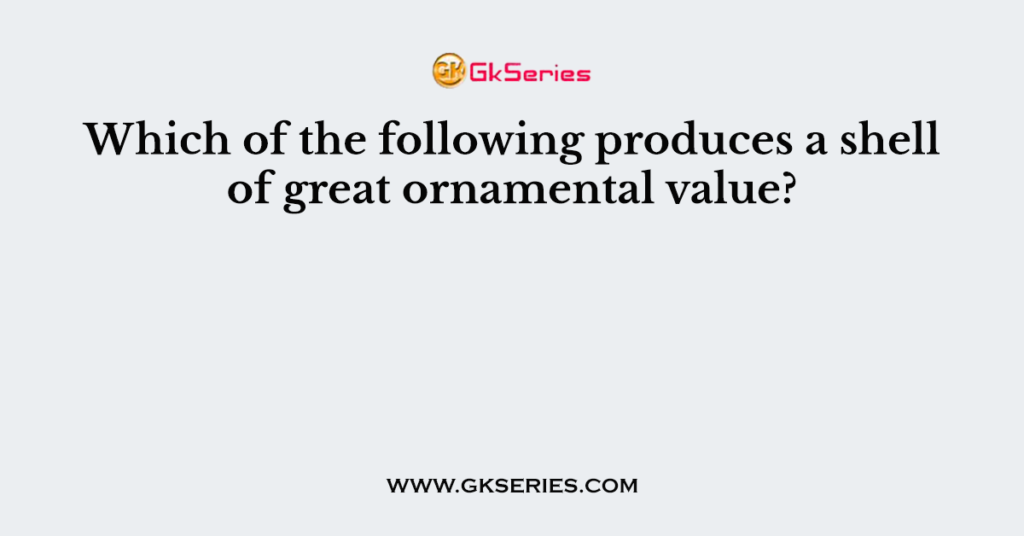 Which of the following produces a shell of great ornamental value?