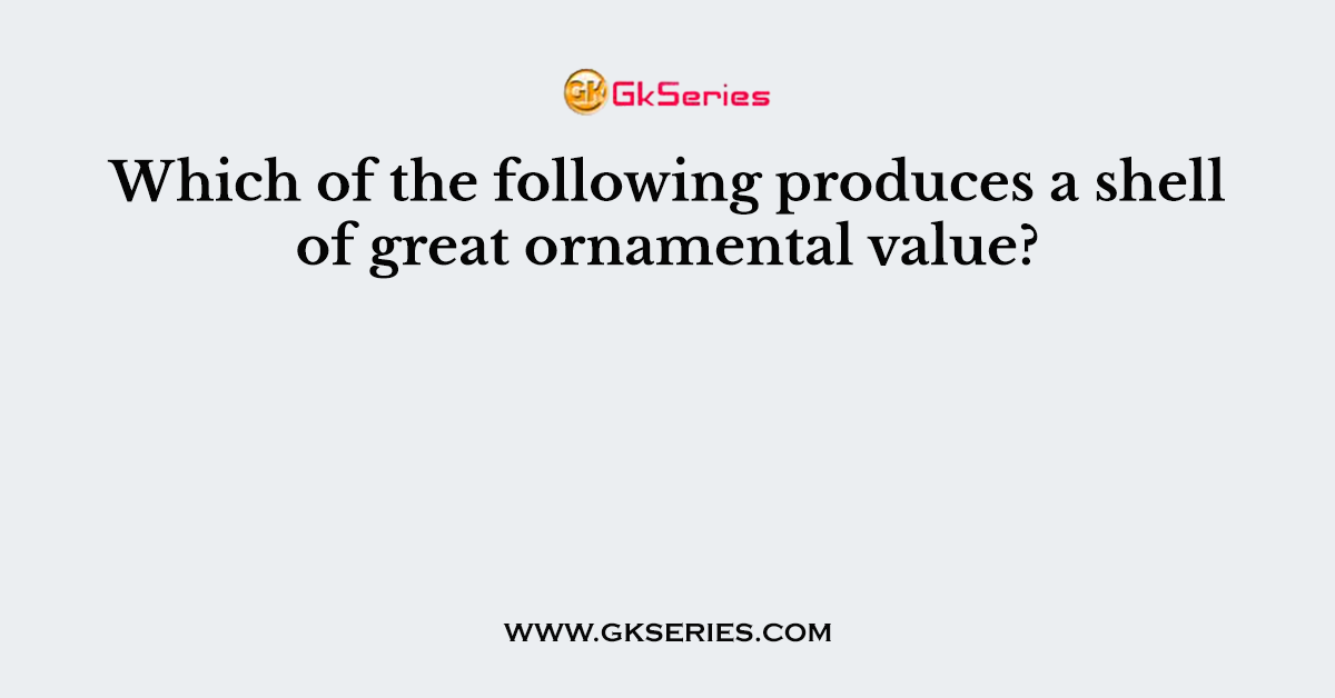 Which of the following produces a shell of great ornamental value?
