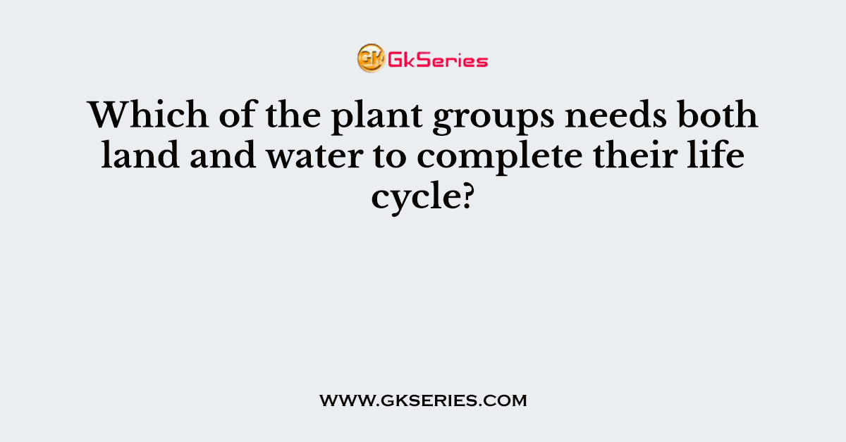 Which of the plant groups needs both land and water to complete their life cycle?