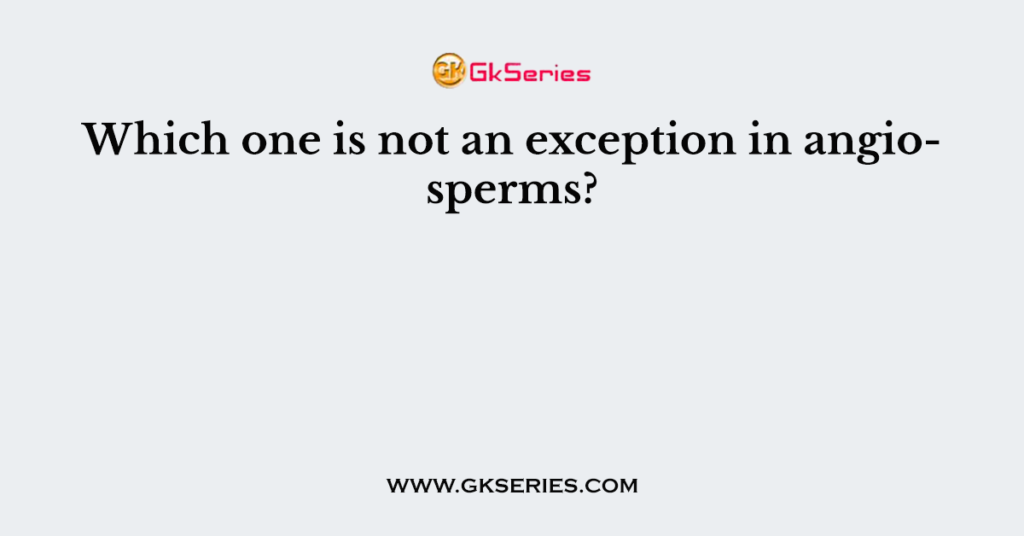 Which one is not an exception in angiosperms?