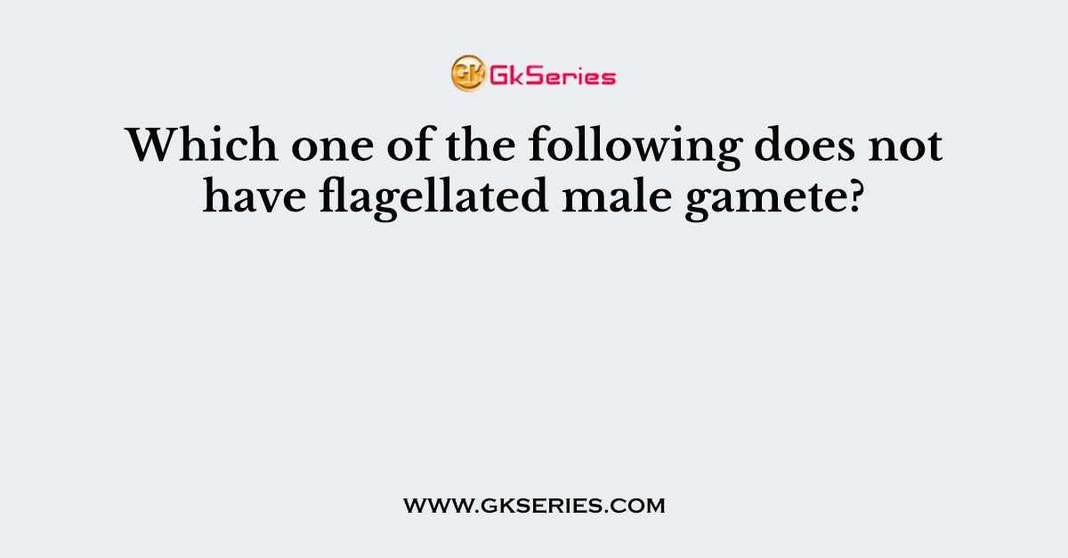 Which one of the following does not have flagellated male gamete?