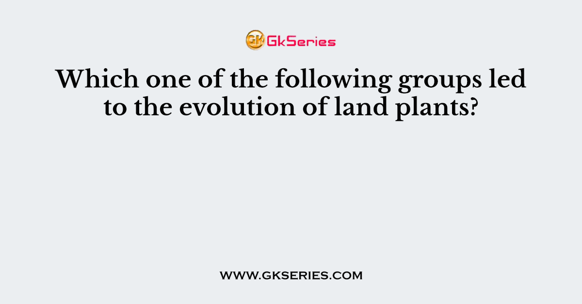 Which one of the following groups led to the evolution of land plants?
