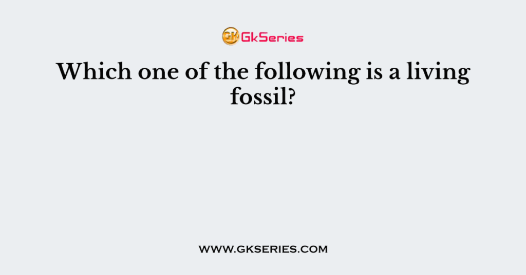 Which one of the following is a living fossil?