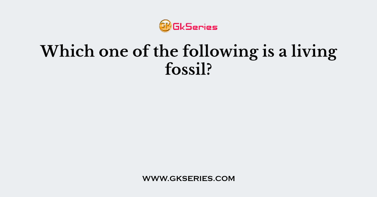 Which one of the following is a living fossil?