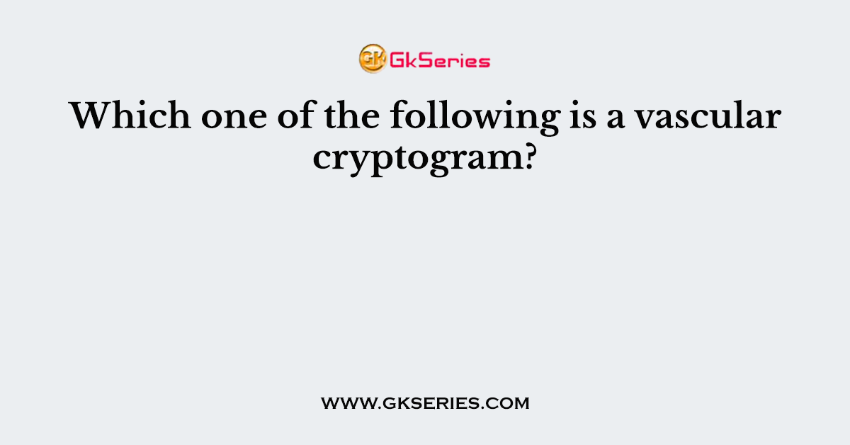 Which one of the following is a vascular cryptogram?