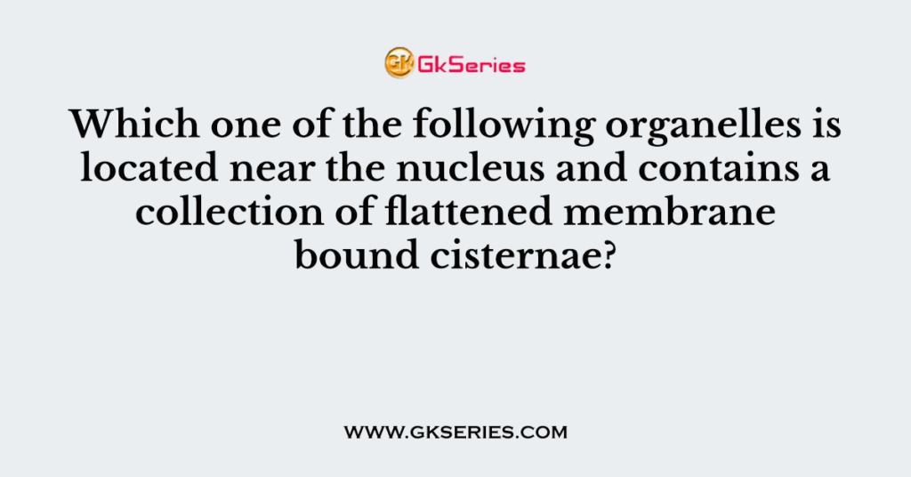 Which one of the following organelles is located near the nucleus and contains a collection of flattened membrane bound cisternae?