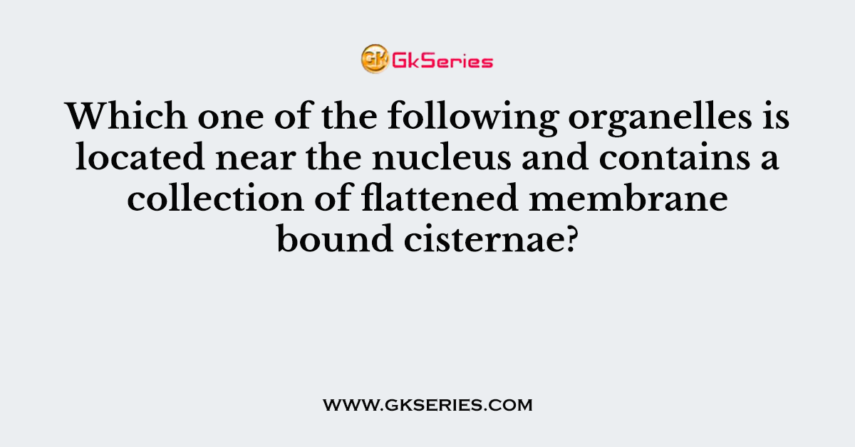 Which one of the following organelles is located near the nucleus and contains a collection of flattened membrane bound cisternae?