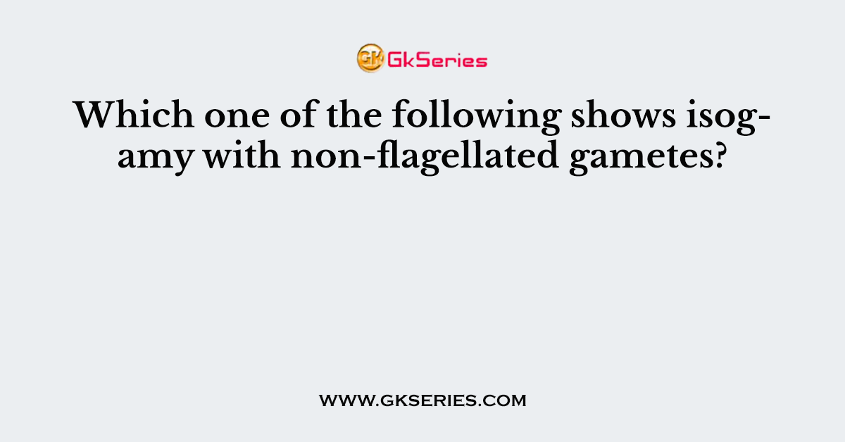 Which one of the following shows isogamy with non-flagellated gametes?