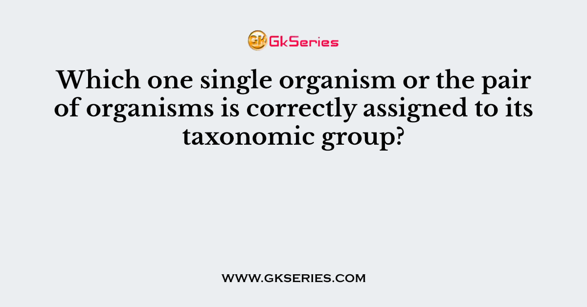 Which one single organism or the pair of organisms is correctly assigned to its taxonomic group?