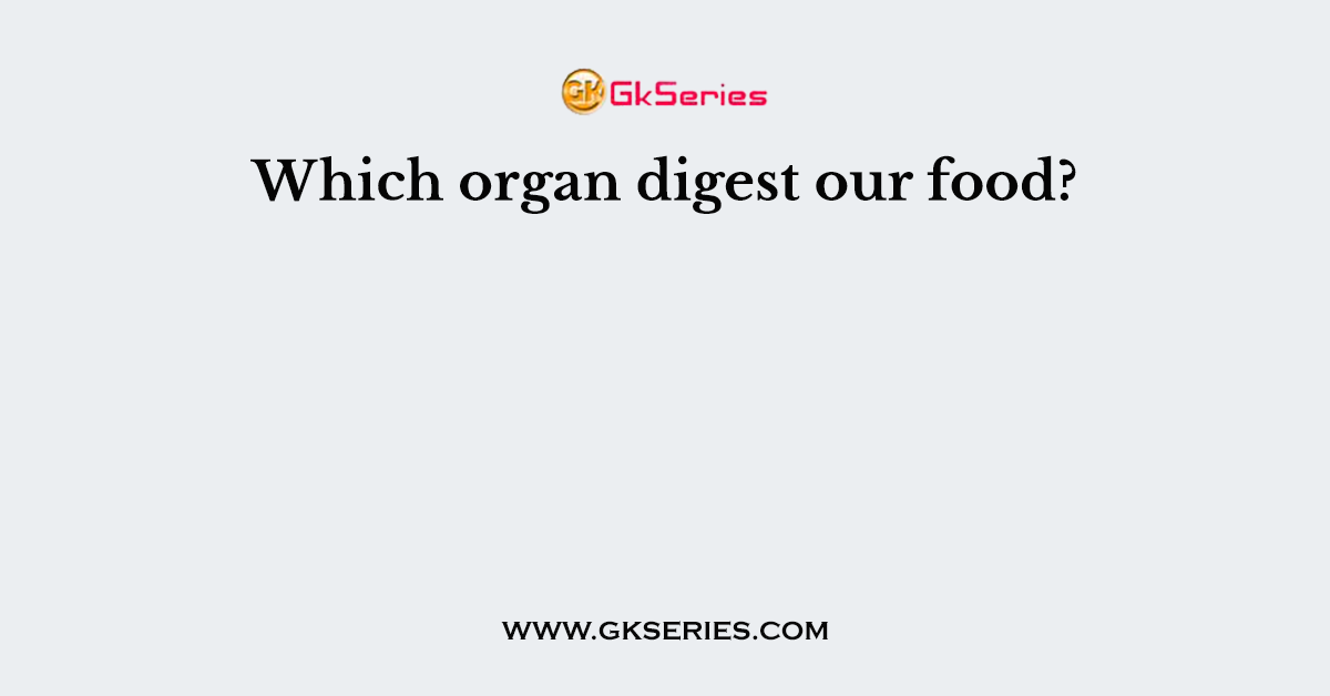 Which organ digest our food?