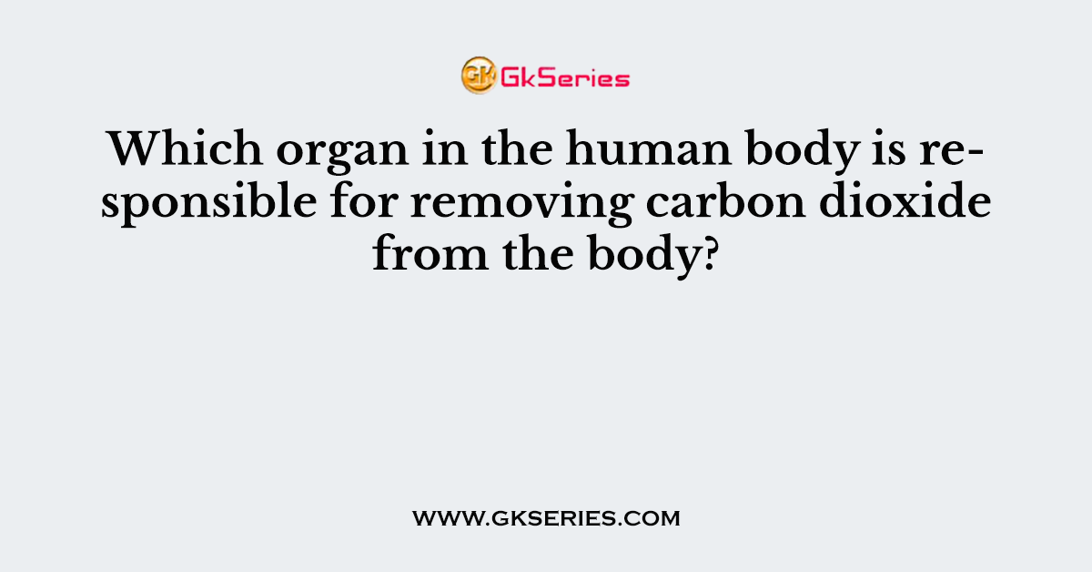 Which organ in the human body is responsible for removing carbon dioxide from the body?