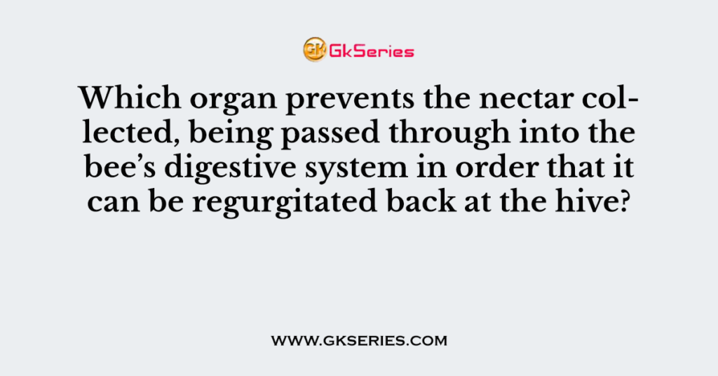 Which organ prevents the nectar collected, being passed through into the bee’s digestive system in order that it can be regurgitated back at the hive?