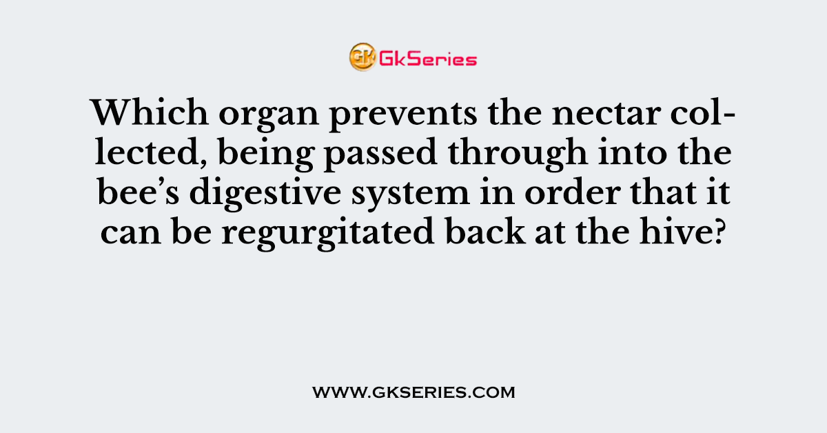 Which organ prevents the nectar collected, being passed through into the bee’s digestive system in order that it can be regurgitated back at the hive?