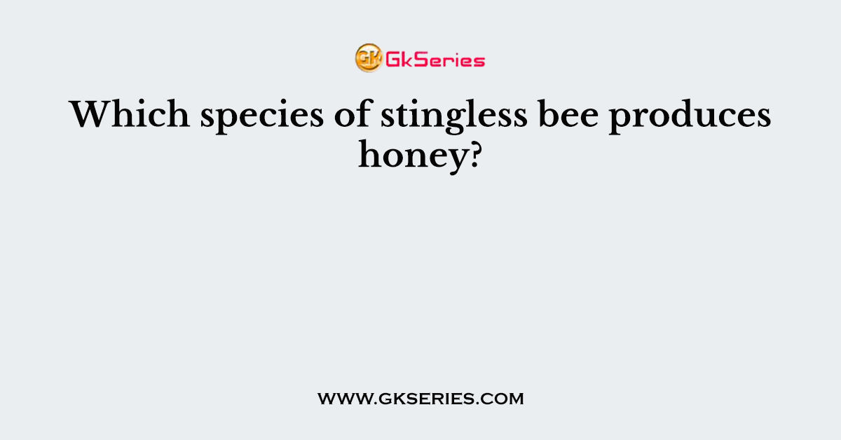 Which species of stingless bee produces honey?