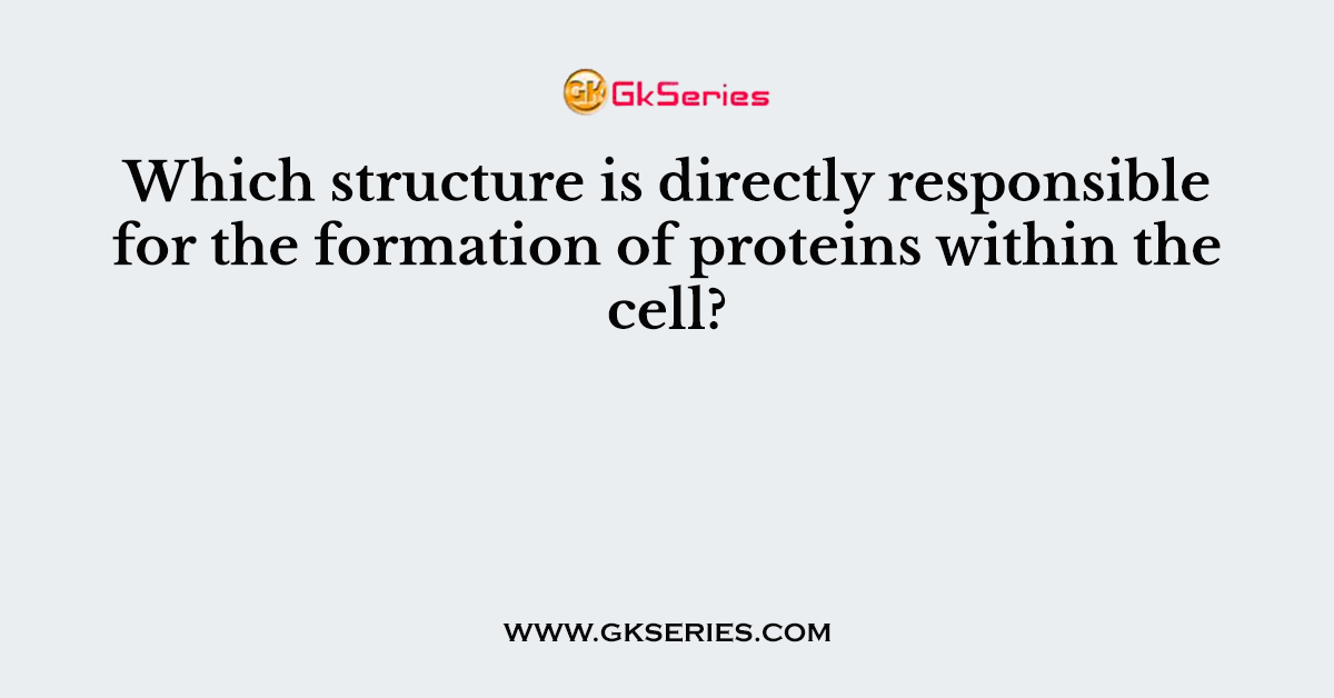 Which structure is directly responsible for the formation of proteins within the cell?