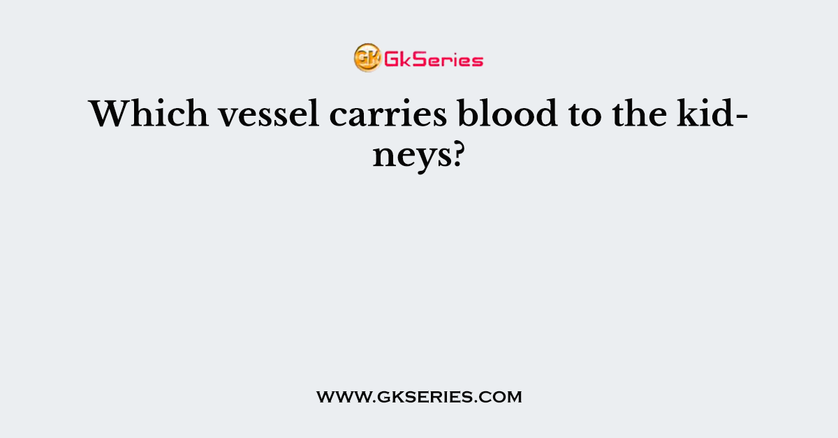 Which vessel carries blood to the kidneys?