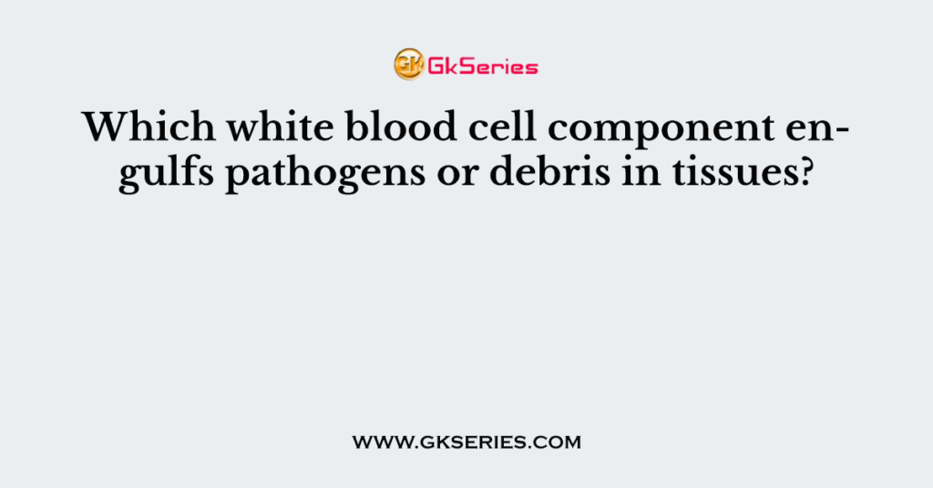 which-white-blood-cell-component-engulfs-pathogens-or-debris-in-tissues