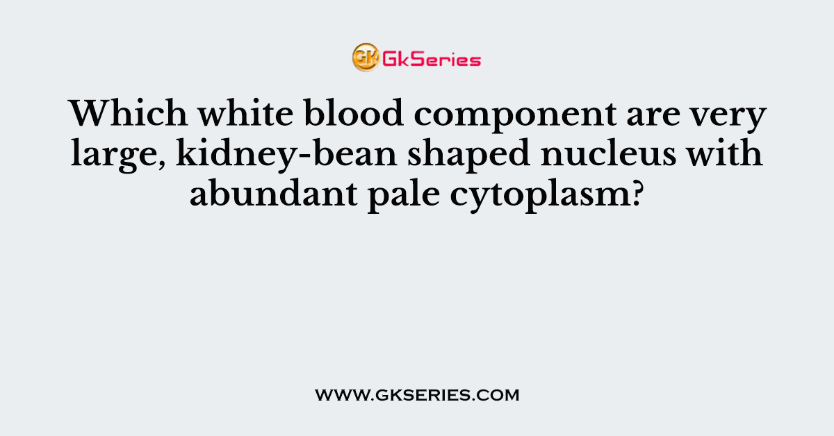Which white blood component are very large, kidney-bean shaped nucleus with abundant pale cytoplasm?