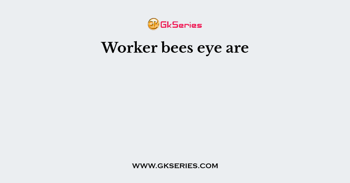 Worker bees eye are