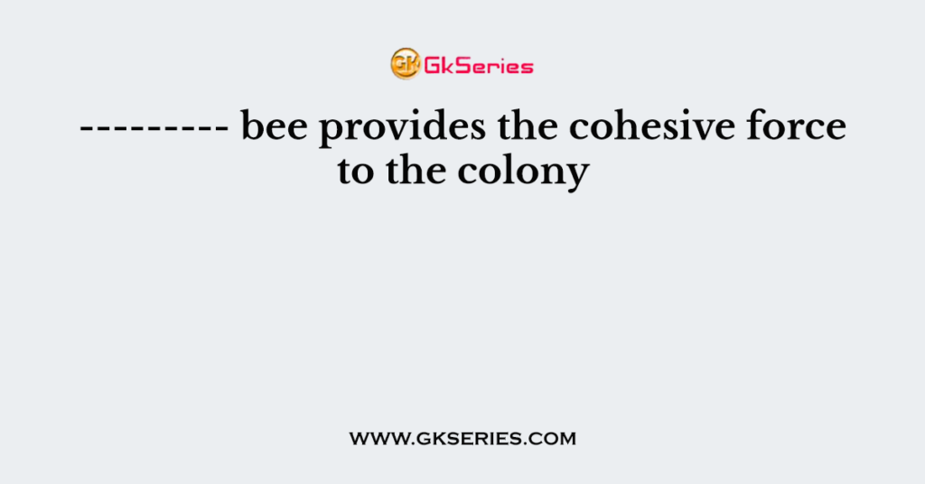 bee-provides-the-cohesive-force-to-the-colony