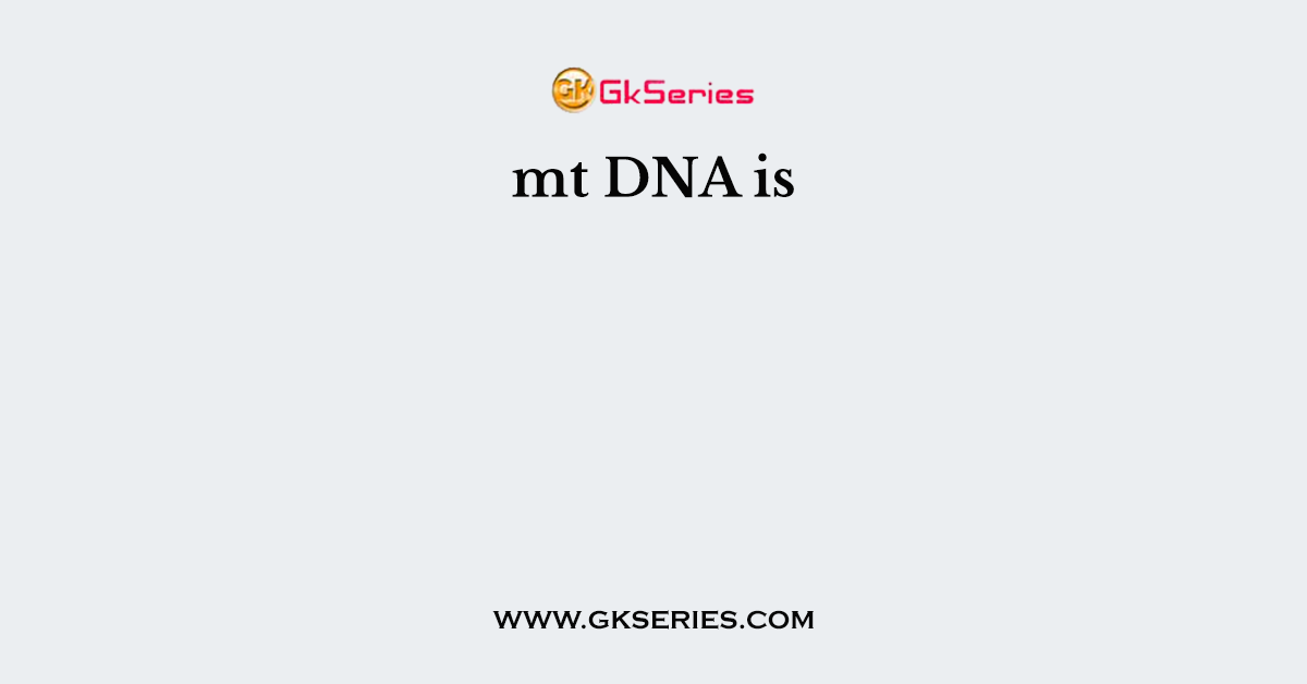 mt DNA is