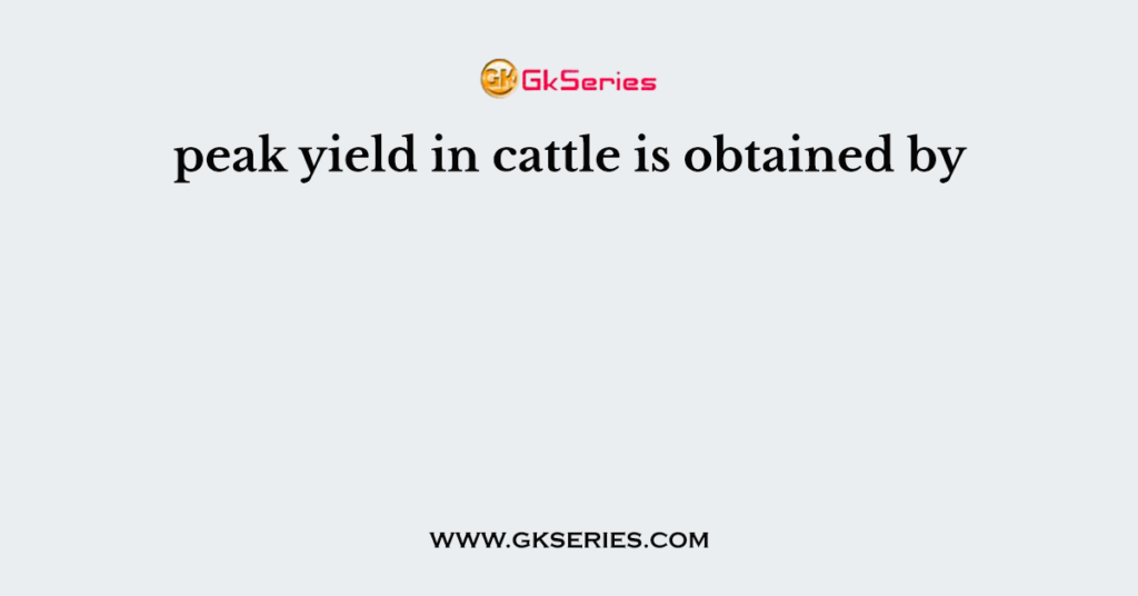 peak yield in cattle is obtained by