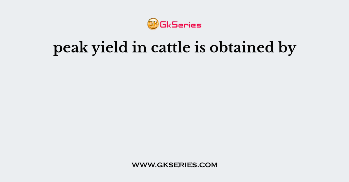 peak yield in cattle is obtained by