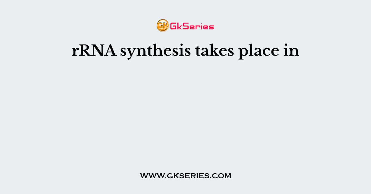rRNA synthesis takes place in