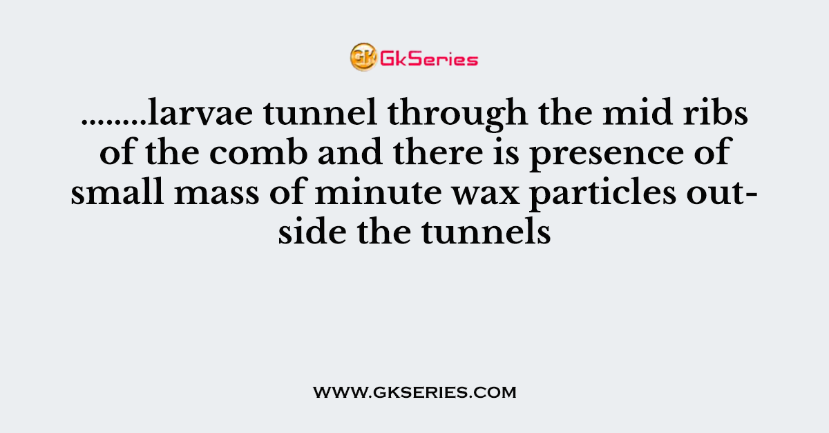 ……..larvae tunnel through the mid ribs of the comb and there is presence of small mass of minute wax particles outside the tunnels