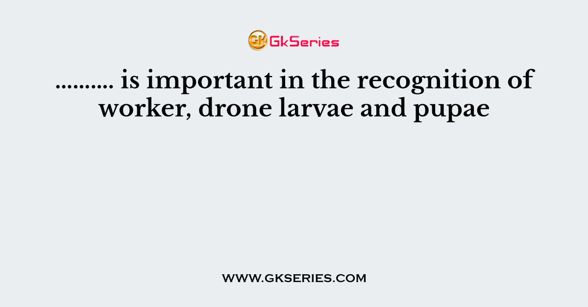………. is important in the recognition of worker, drone larvae and pupae