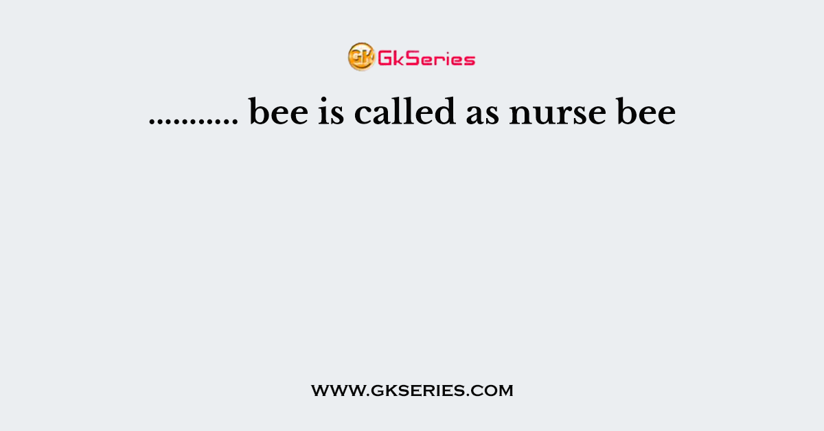 ……….. bee is called as nurse bee