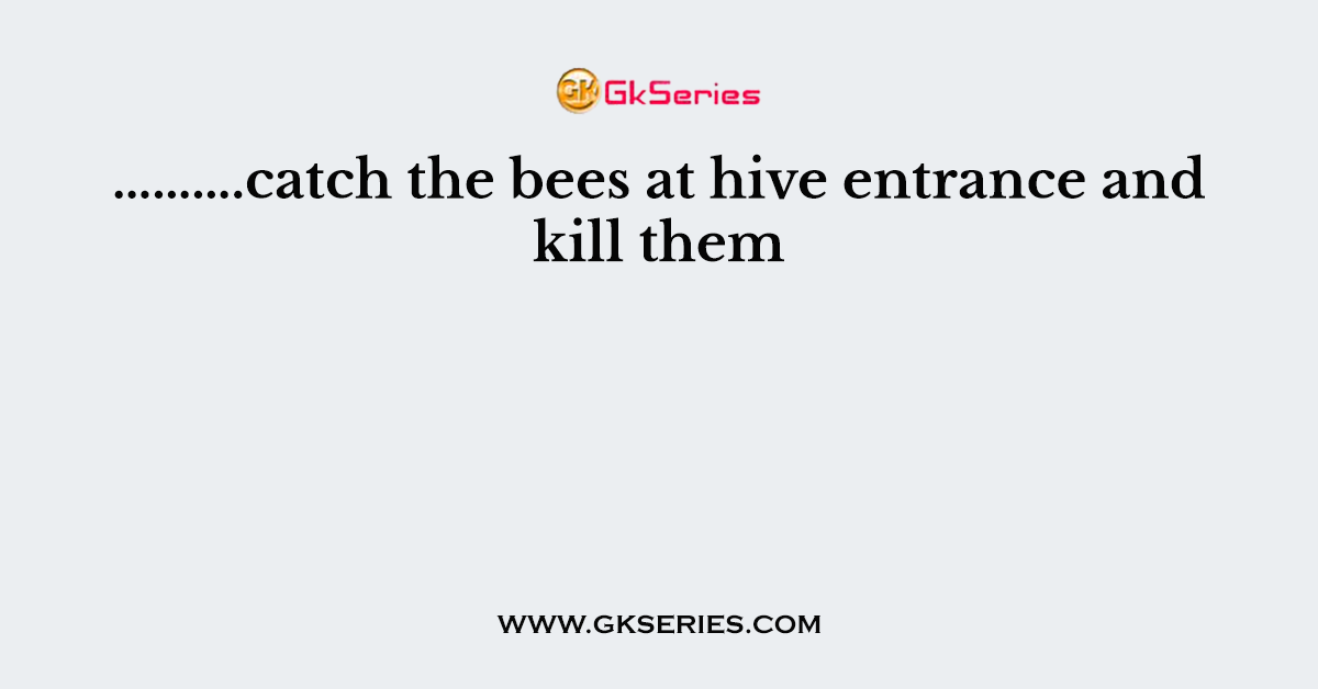 ……….catch the bees at hive entrance and kill them