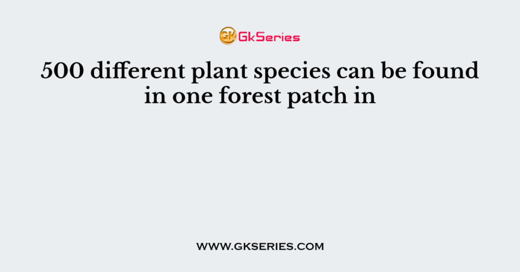 500 different plant species can be found in one forest patch in