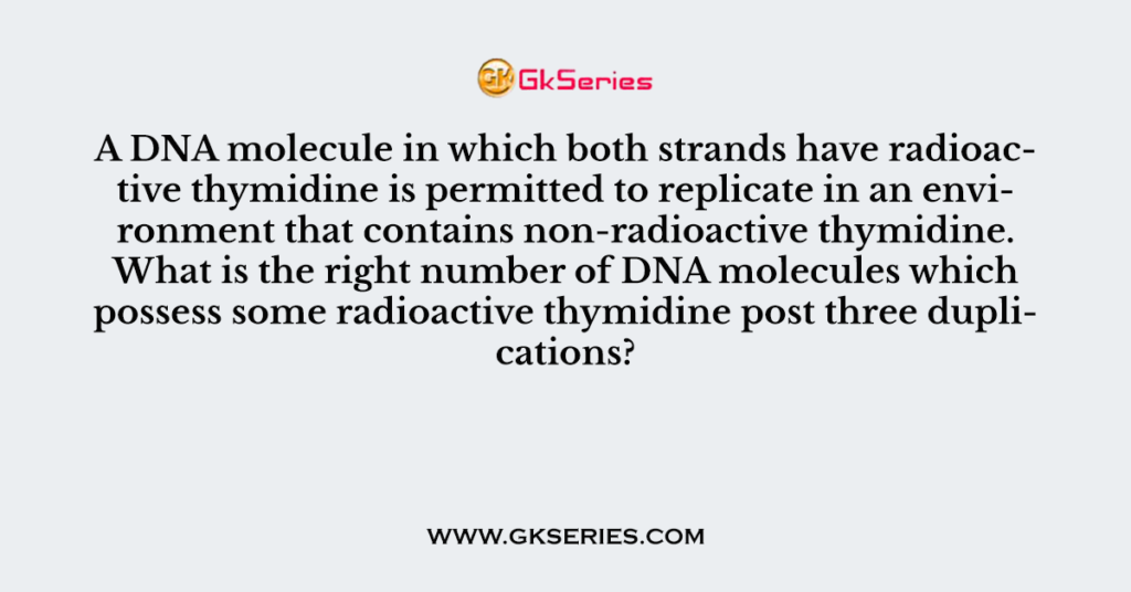 A DNA molecule in which both strands have radioactive thymidine