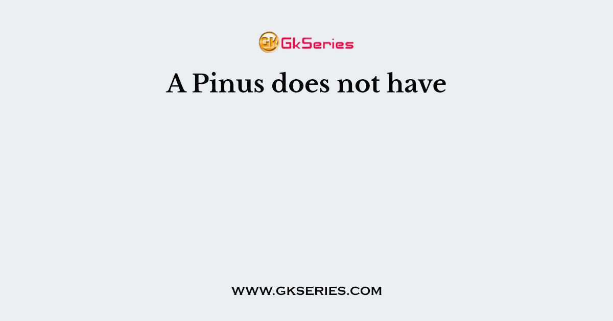 A Pinus does not have