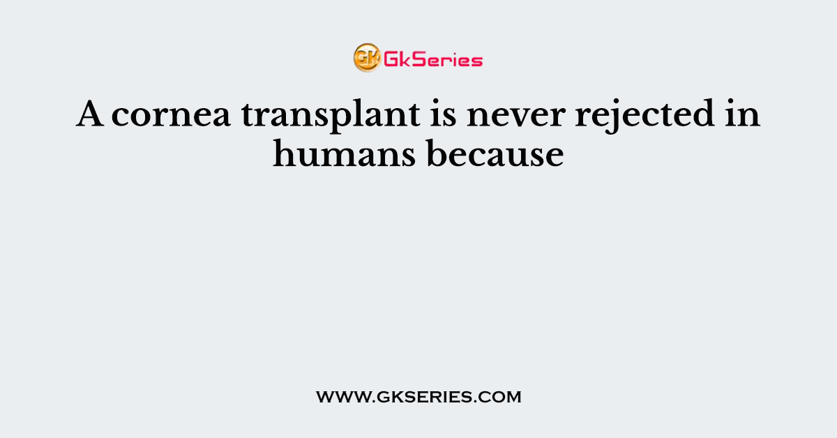 A cornea transplant is never rejected in humans because