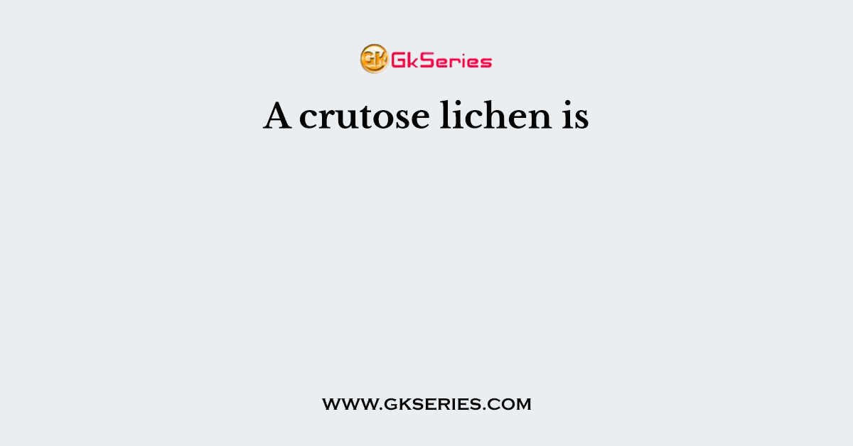 A crutose lichen is