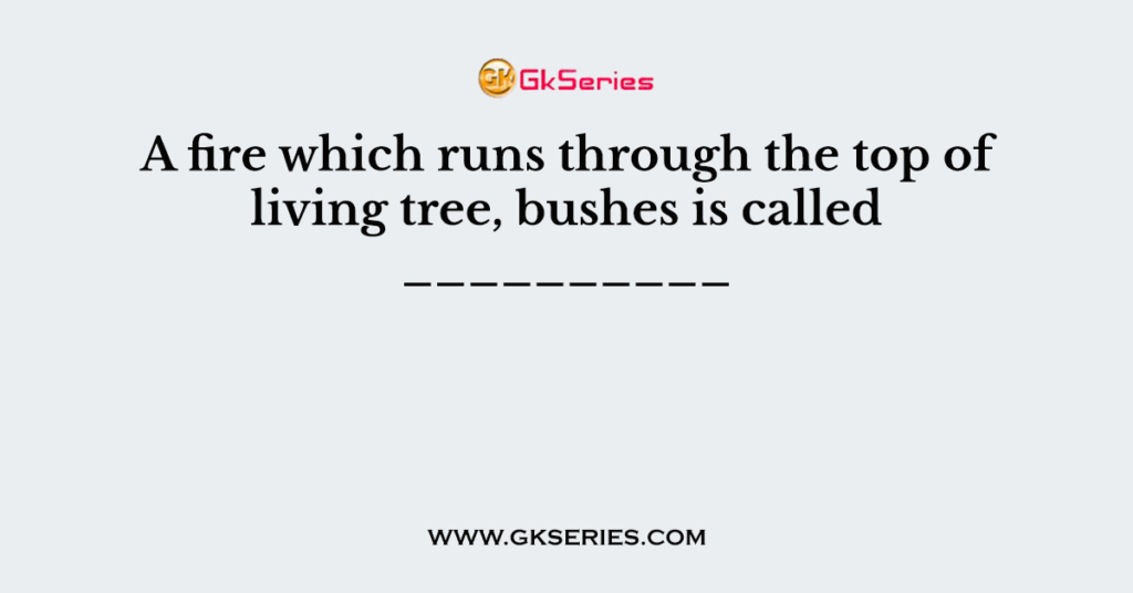 A fire which runs through the top of living tree, bushes is called __________