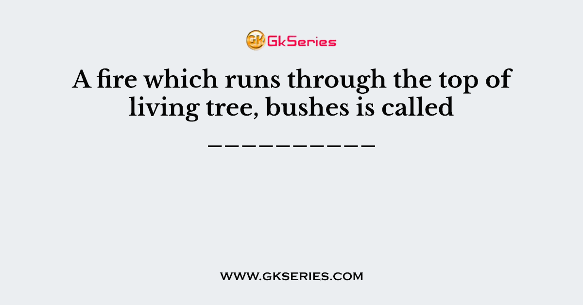 A fire which runs through the top of living tree, bushes is called __________