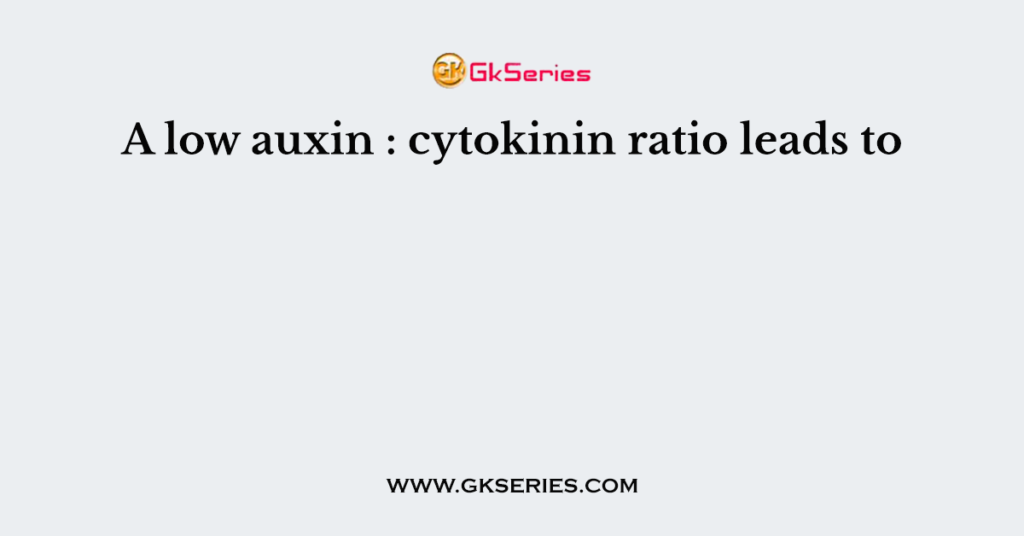 A low auxin:cytokinin ratio leads to