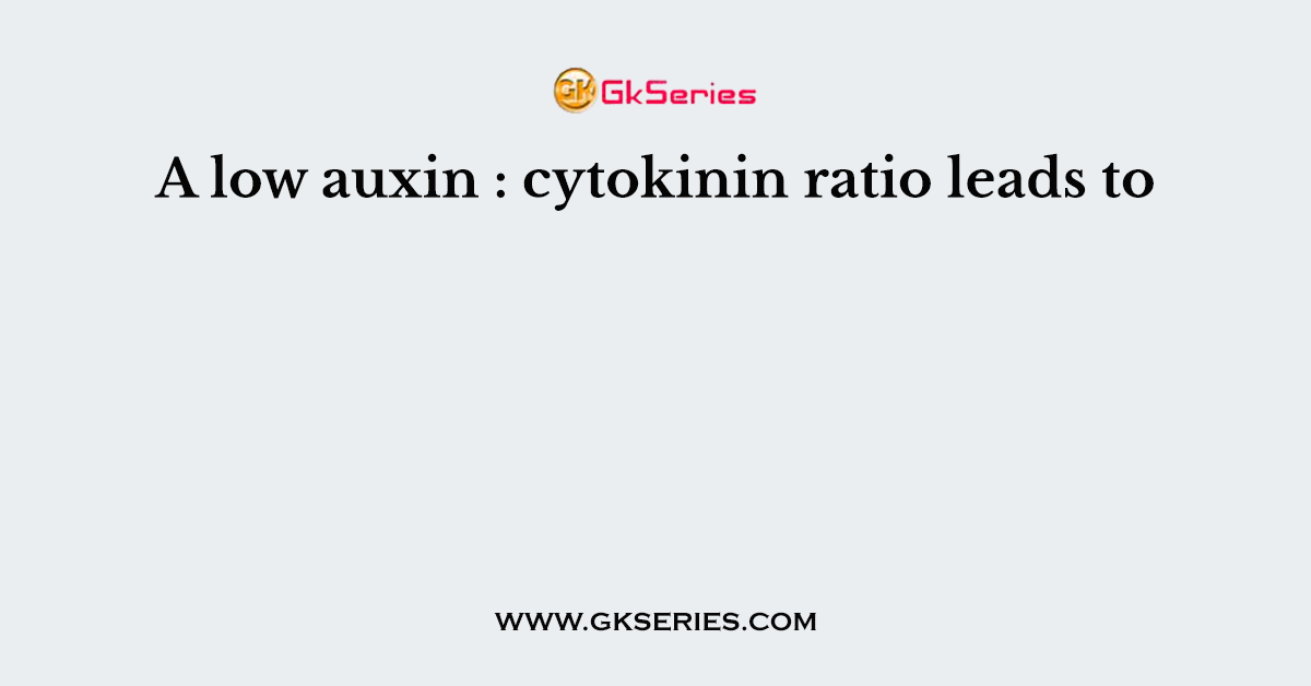 A low auxin:cytokinin ratio leads to