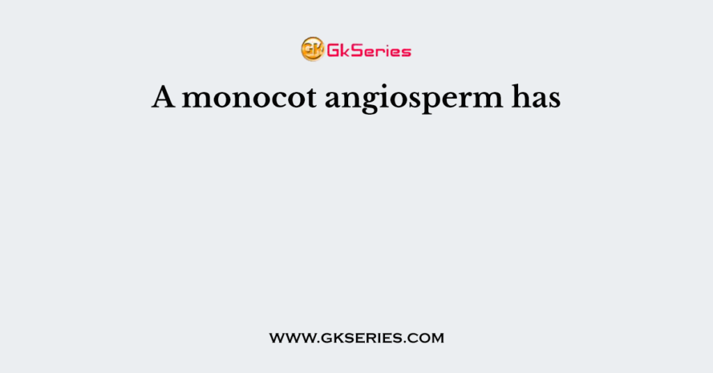 A monocot angiosperm has