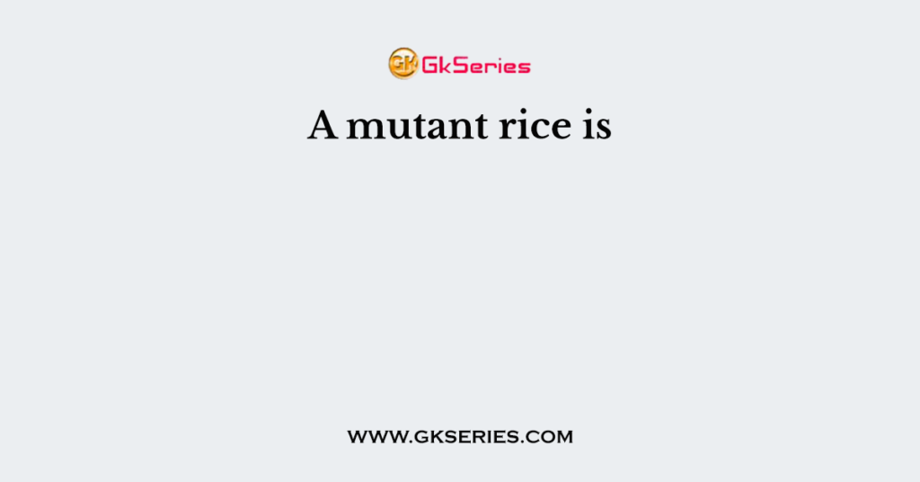 A mutant rice is