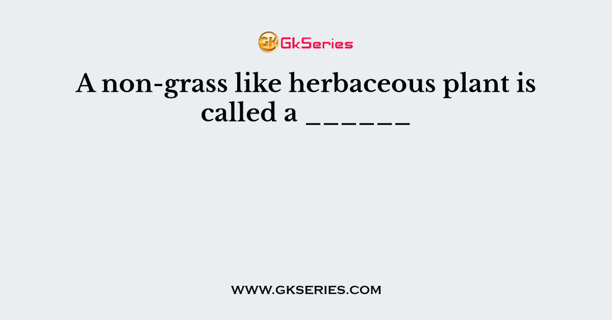 A non-grass like herbaceous plant is called a ______