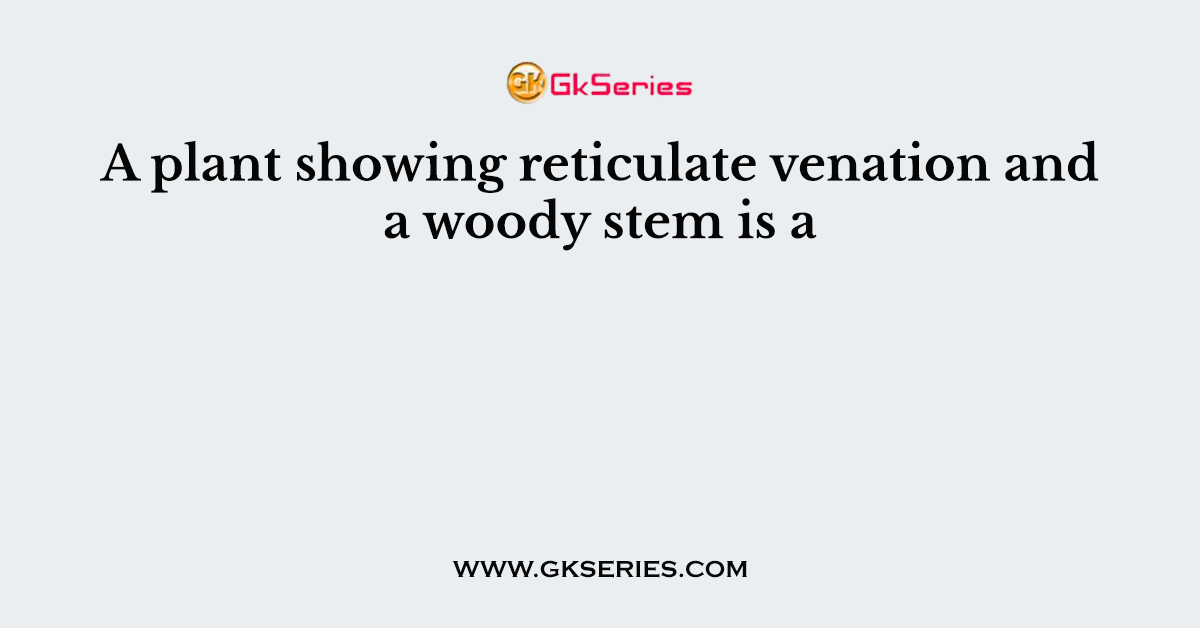 A plant showing reticulate venation and a woody stem is a