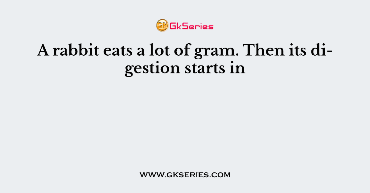 A rabbit eats a lot of gram. Then its digestion starts in