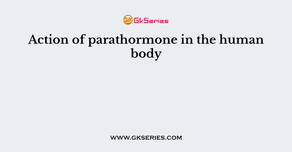 Action of parathormone in the human body