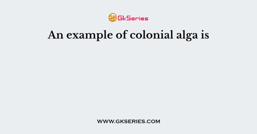 An example of colonial alga is