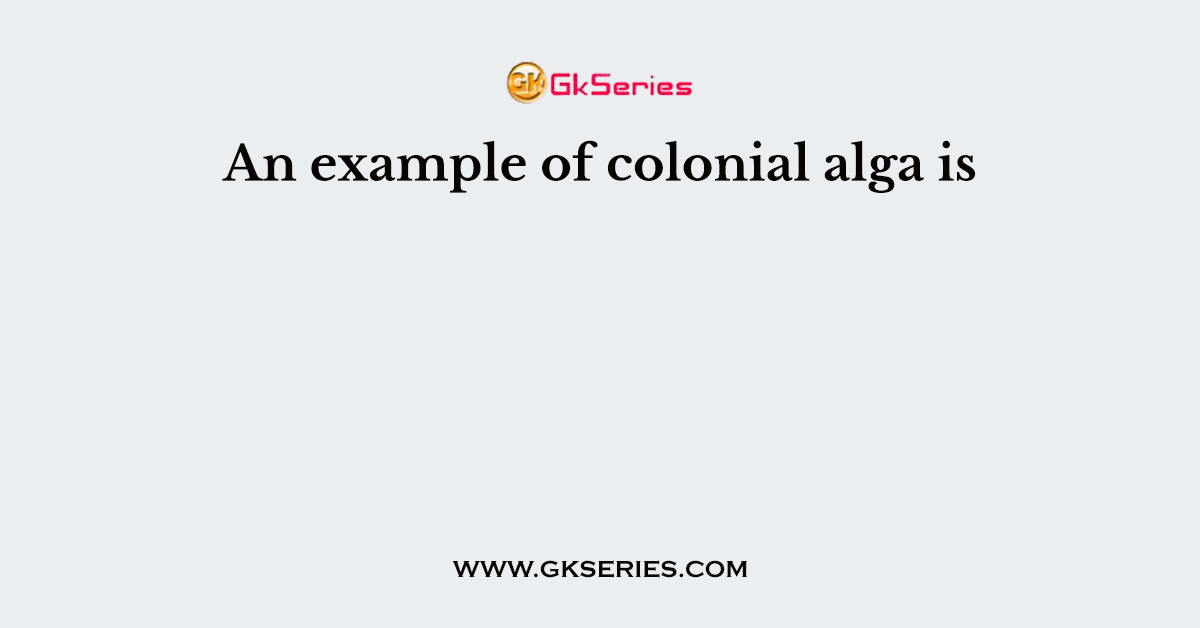 An example of colonial alga is